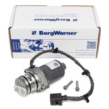 BORGWARNER Pumpe Haldex