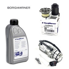 BorgWarner Vorladepumpe